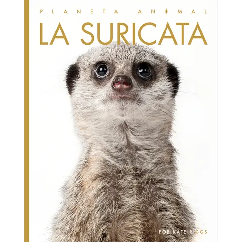 La Suricata