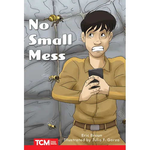 No Small Mess: Level 1: Book 7
