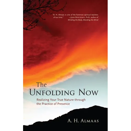 The Unfolding Now: Realizing Your True Nature Through the Practice of Presence