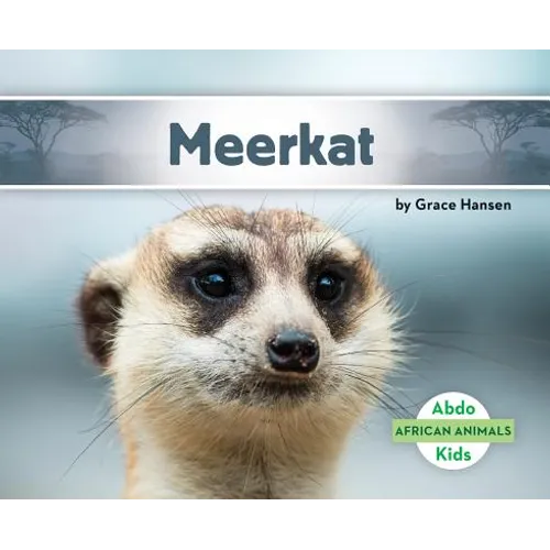 Meerkat