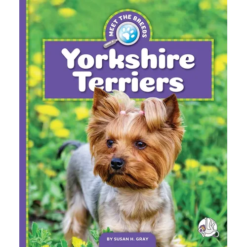 Yorkshire Terriers