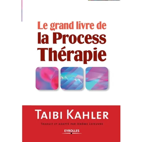 Le grand livre de la process thérapie