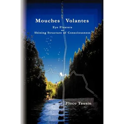 Mouches Volantes - Eye Floaters as Shining Structure of Consciousness
