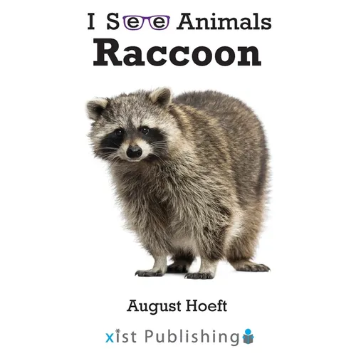 Raccoon