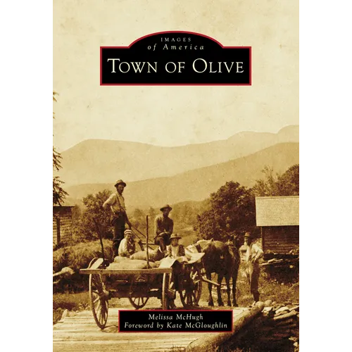 Town of Olive