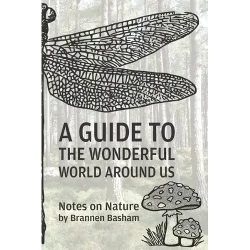 A Guide to the Wonderful World Around Us: Notes on Nature