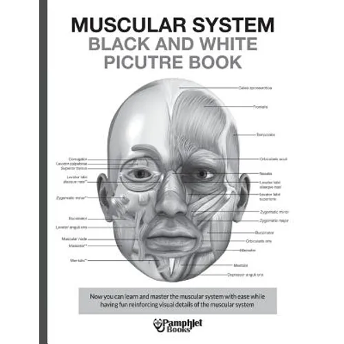 Muscular System Black and White Picture Book: Guide For The Muscular System
