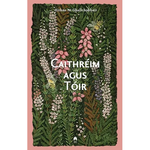Caithreim Agus Toir