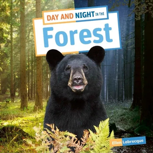 Day and Night in the Forest