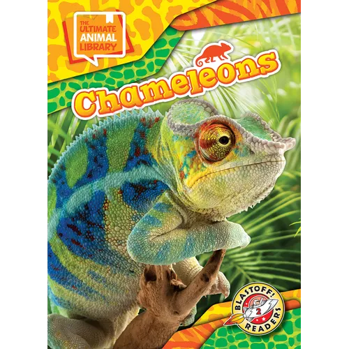 Chameleons