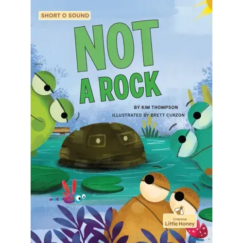 Not a Rock