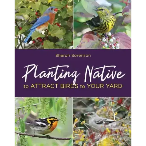 Planting Native to Attract Birds to Your Yard
