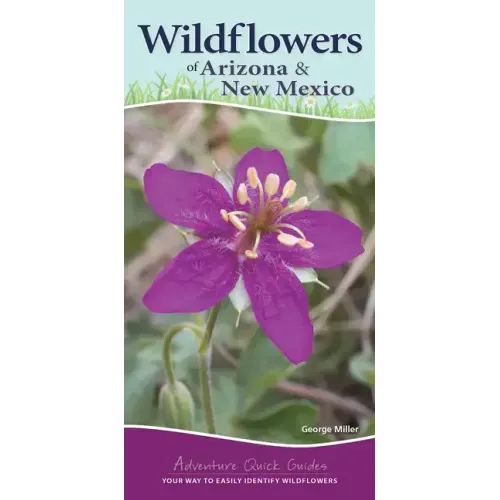 Wildflowers of Arizona & New Mexico: Your Way to Easily Identify Wildflowers