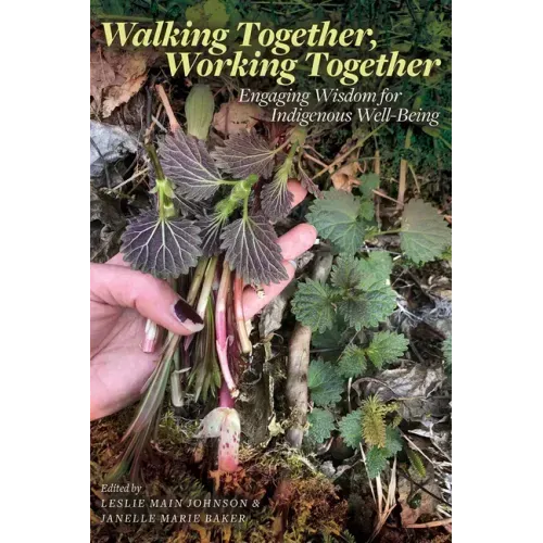 Walking Together, Working Together: Engaging Wisdom for Indigenous Well-Being
