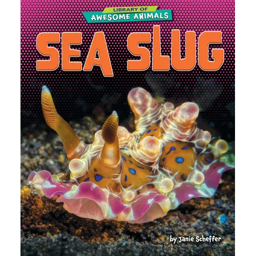 Sea Slug