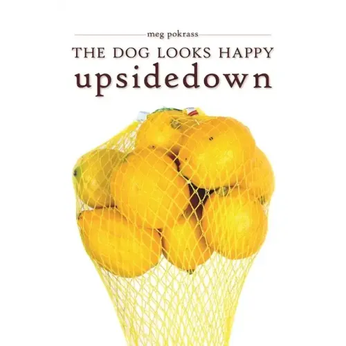 The Dog Looks Happy Upside Down