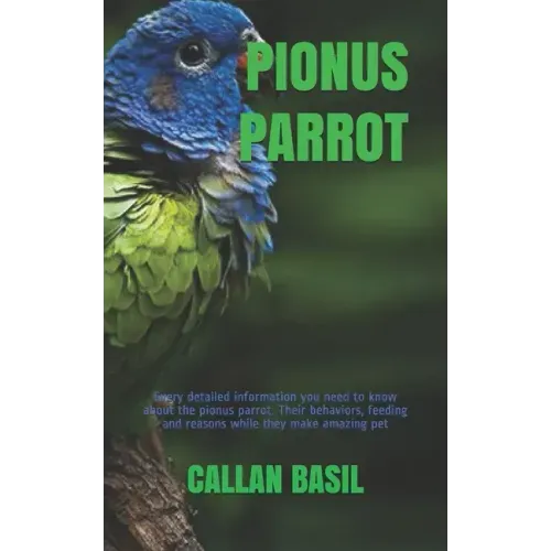 Pionus Parrot: Every detailed information you need to know about the pionus parrot. Their behaviors, feeding and reasons while they make amazing pet