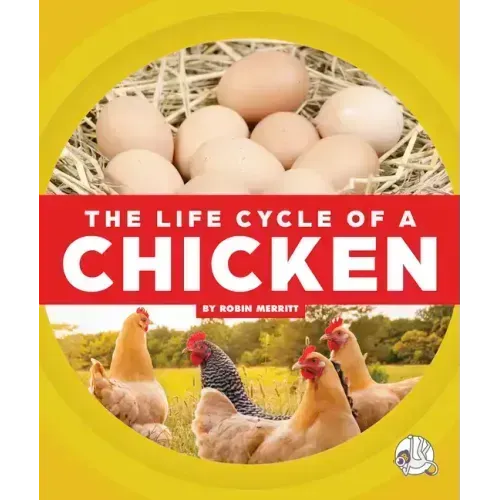 The Life Cycle of a Chicken