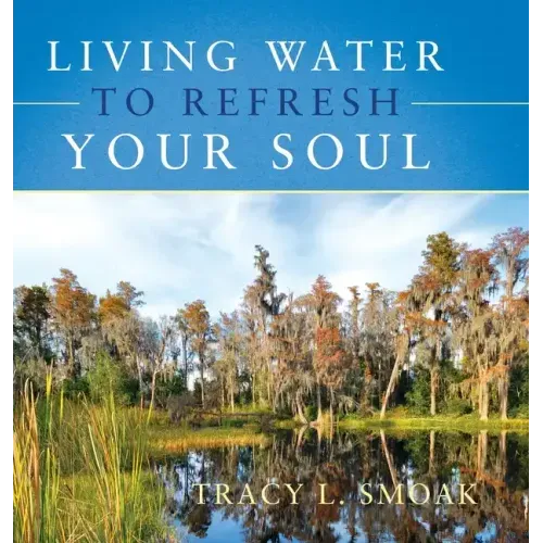 Living Water to Refresh Your Soul