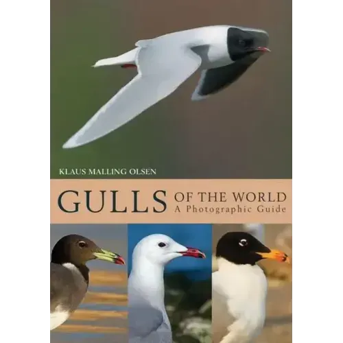 Gulls of the World: A Photographic Guide