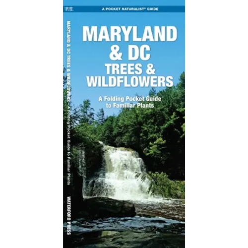 Maryland & DC Trees & Wildflowers: A Folding Pocket Guide to Familiar Plants