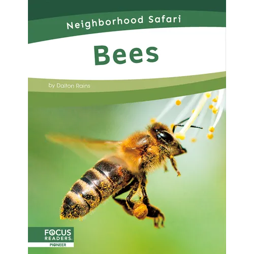 Bees