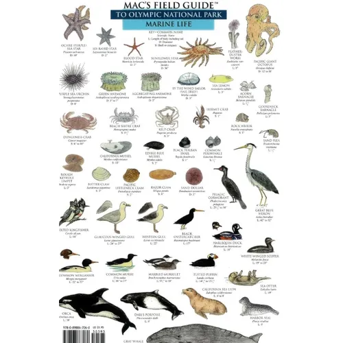 Mac's Field Guides: Olympic National Park