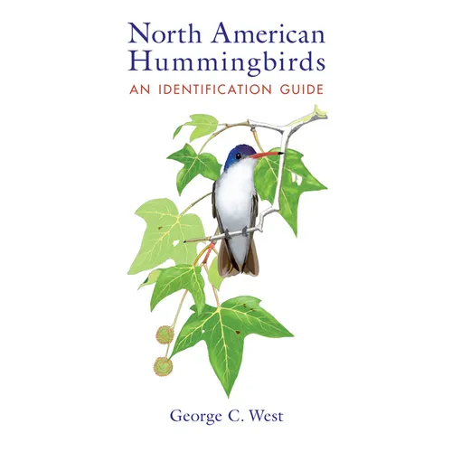 North American Hummingbirds: An Identification Guide