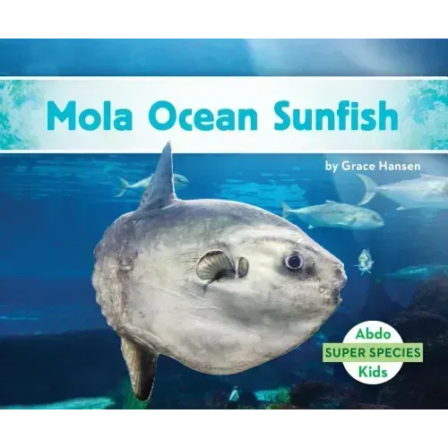 Mola Ocean Sunfish