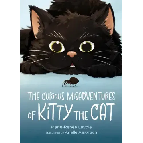 The Curious Misadventures of Kitty the Cat