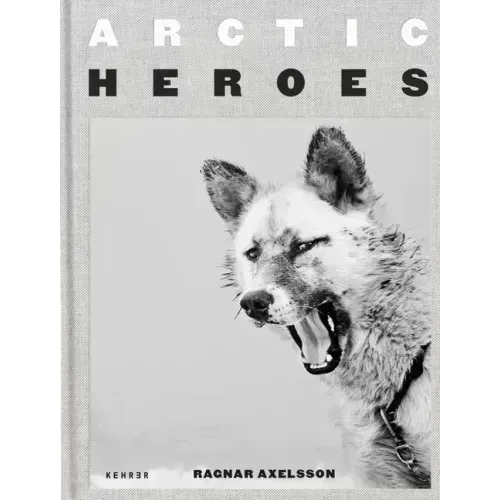 Arctic Heroes: A Tribute to the Sled Dogs of Greenland