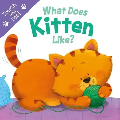 What Does Kitten Like?: Touch & Feel Board Book