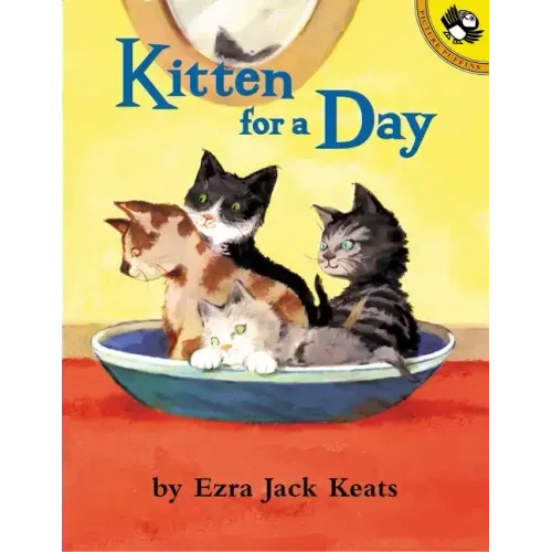 Kitten for a Day