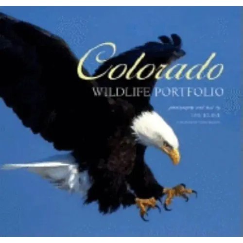 Colorado Wildlife Portfolio