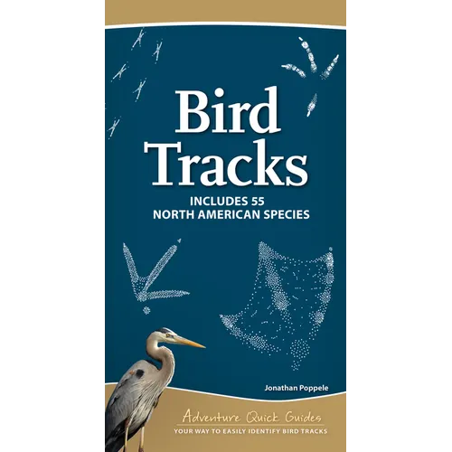 Bird Tracks: Includes 55 North American Species