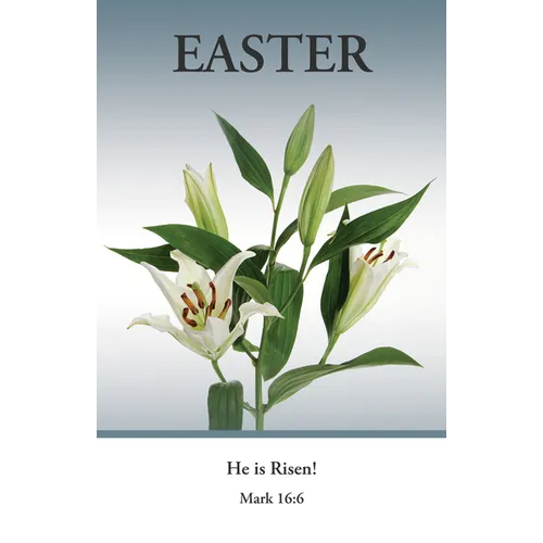 Easter Bulletin: He Is Risen (Package of 100): Mark 16:6 (Kjv)