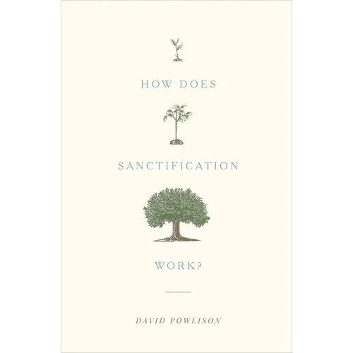 How Does Sanctification Work?