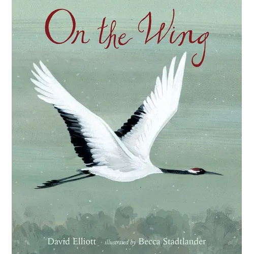 On the Wing