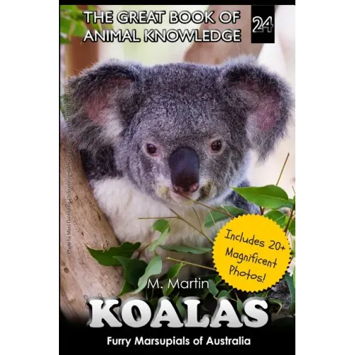 Koalas: Furry Marsupials of Australia