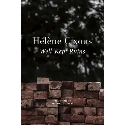 Well-Kept Ruins