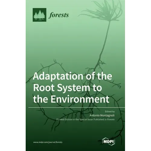 Adaptation of the Root System to the Environment