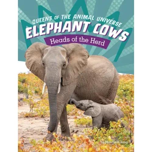 Elephant Cows: Heads of the Herd
