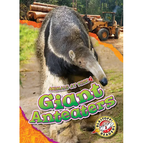 Giant Anteaters