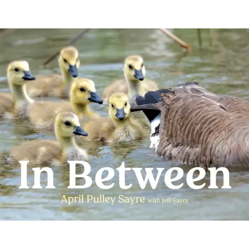 In Between