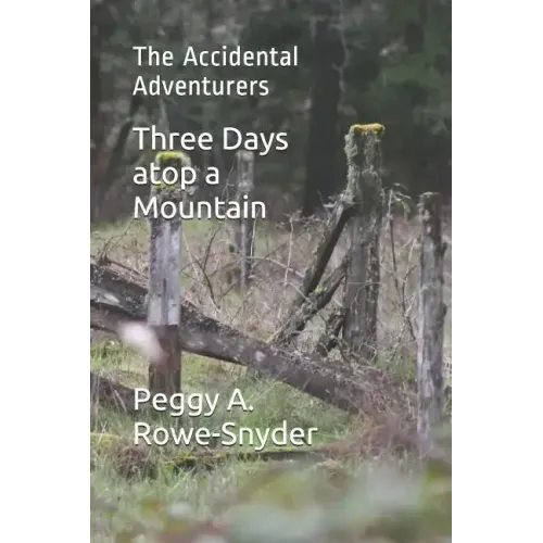 Three Days atop a Mountain: The Accidental Adventurers