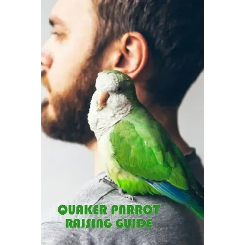 Quaker Parrot Raising Guide: Gift Ideas for Christmas