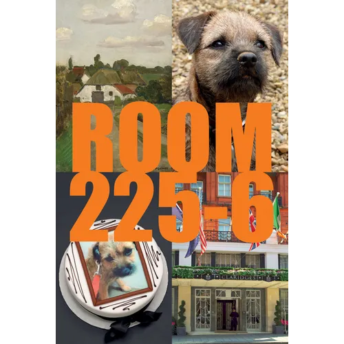 Room 225-6: A Novel