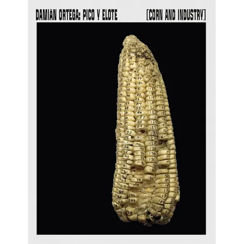 Damián Ortega: Corn and Industry