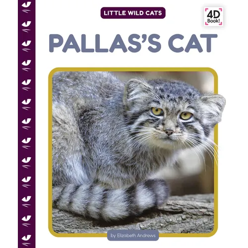 Pallas's Cat