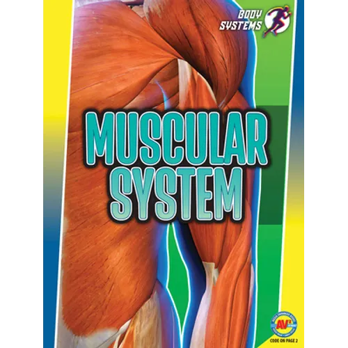 Muscular System